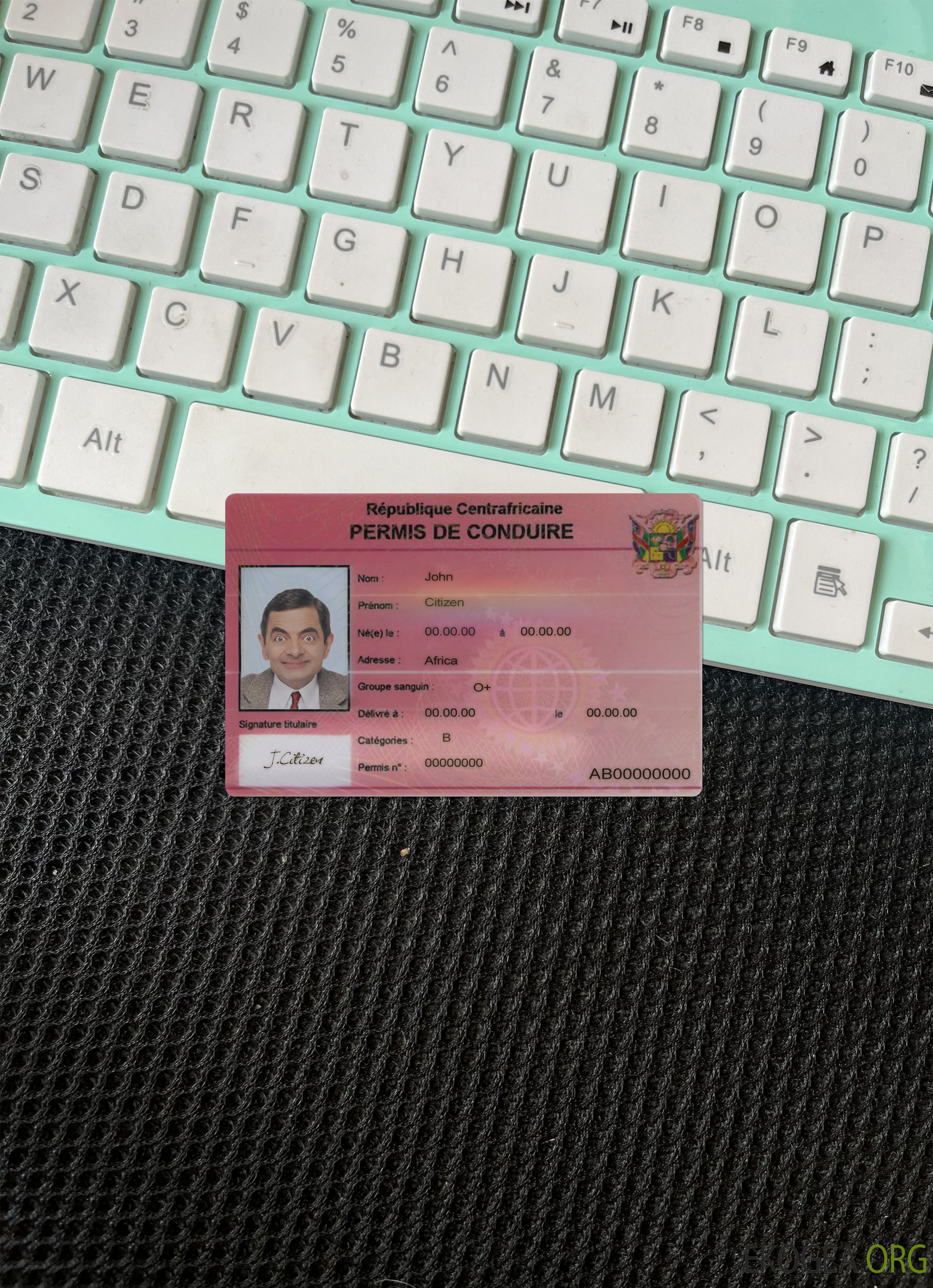 Photolook recto du permis de conduire centrafricain